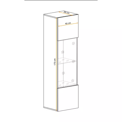 Vitrína s osvětlením FREYA - černá