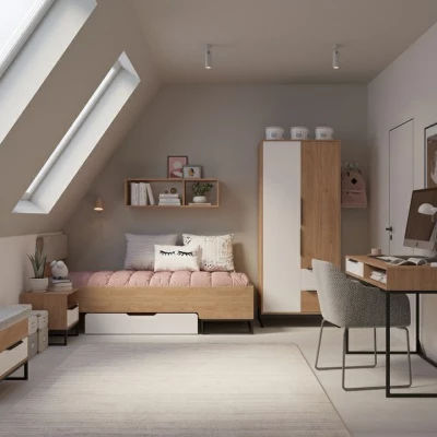 Psací stůl DARCY hikora / matný bílý